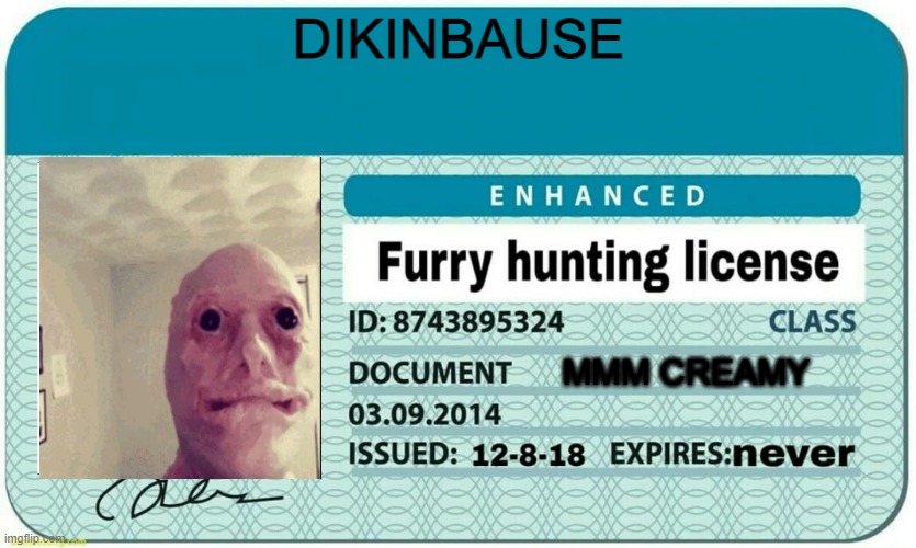 mmm creamy | DIKINBAUSE; MMM CREAMY | image tagged in furry hunting license | made w/ Imgflip meme maker