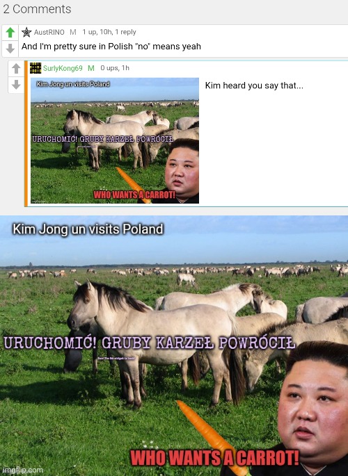 Stop it. Get some help | image tagged in stop it get some help,kim jong un,loves,horses | made w/ Imgflip meme maker
