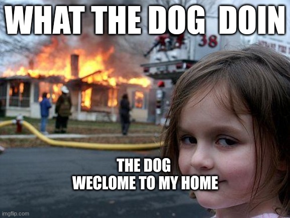 plz canu upvote this or comment | WHAT THE DOG  DOIN; THE DOG 
WECLOME TO MY HOME | image tagged in memes,disaster girl | made w/ Imgflip meme maker