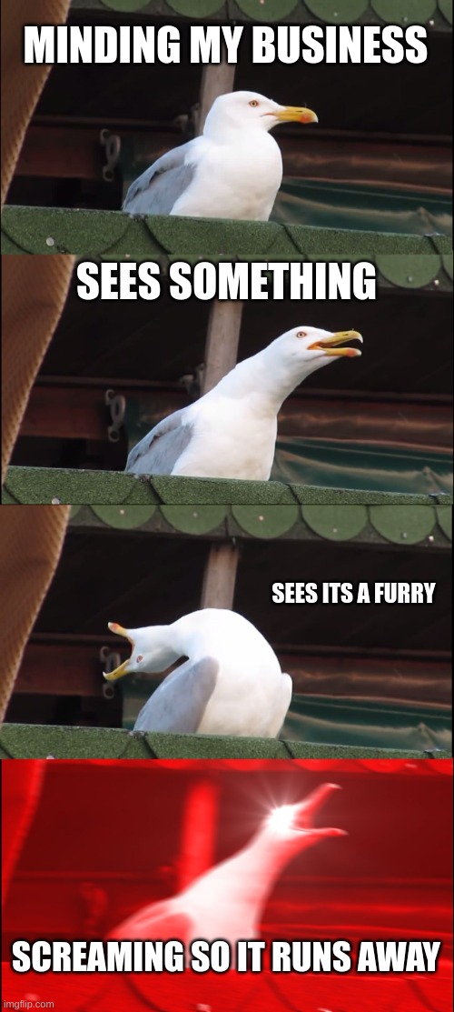 Inhaling Seagull Meme | MINDING MY BUSINESS; SEES SOMETHING; SEES ITS A FURRY; SCREAMING SO IT RUNS AWAY | image tagged in memes,inhaling seagull | made w/ Imgflip meme maker