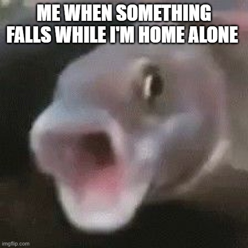 SKOOKETH | ME WHEN SOMETHING FALLS WHILE I'M HOME ALONE | image tagged in shooketh,fishing for upvotes | made w/ Imgflip meme maker