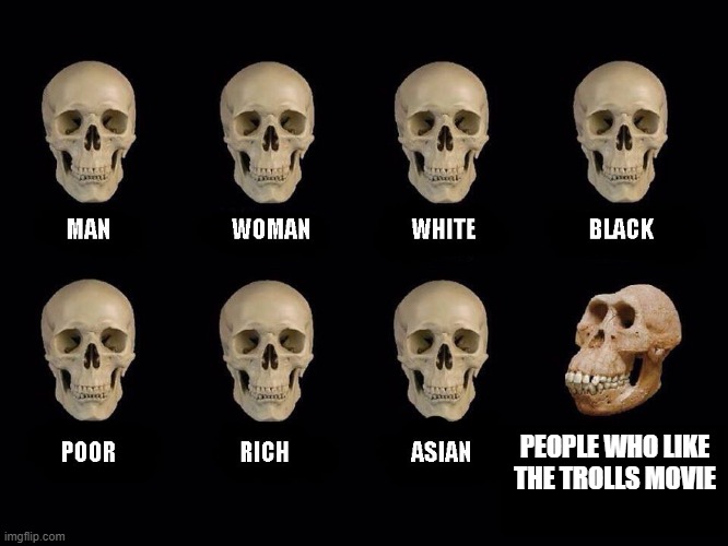 empty skulls of truth | PEOPLE WHO LIKE THE TROLLS MOVIE | image tagged in empty skulls of truth | made w/ Imgflip meme maker