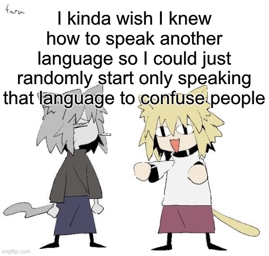Neco arc and chaos neco arc | I kinda wish I knew how to speak another language so I could just randomly start only speaking that language to confuse people | image tagged in neco arc and chaos neco arc | made w/ Imgflip meme maker