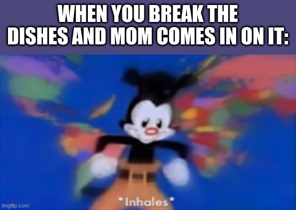 Yakko's world inhales | WHEN YOU BREAK THE DISHES AND MOM COMES IN ON IT: | image tagged in yakko's world inhales | made w/ Imgflip meme maker