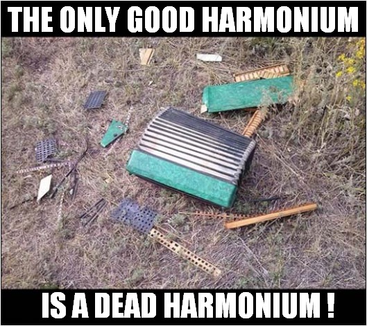 As A Music Lover ... | THE ONLY GOOD HARMONIUM; IS A DEAD HARMONIUM ! | image tagged in harmonium,smashed,dark humour | made w/ Imgflip meme maker