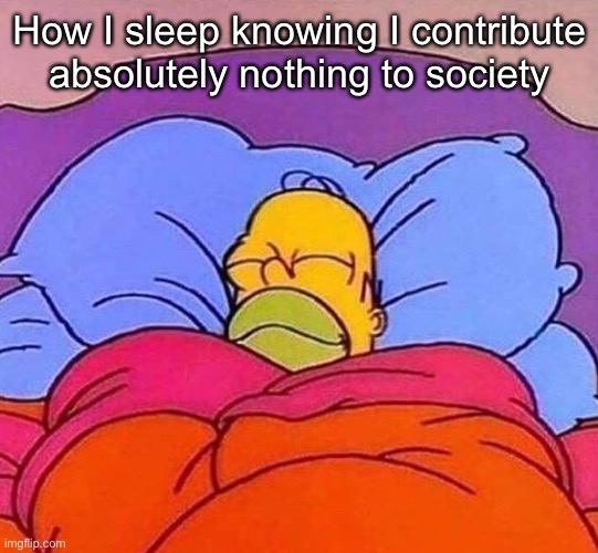 Homer Simpson sleeping peacefully | How I sleep knowing I contribute absolutely nothing to society | image tagged in homer simpson sleeping peacefully | made w/ Imgflip meme maker