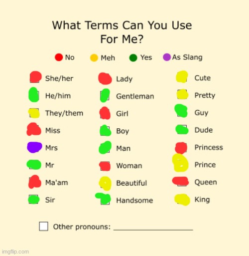 Pronouns Sheet | image tagged in pronouns sheet | made w/ Imgflip meme maker