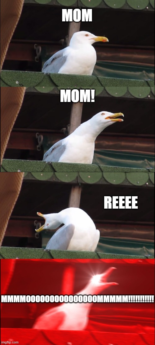 Inhaling Seagull | MOM; MOM! REEEE; MMMMOOOOOOOOOOOOOOOMMMMM!!!!!!!!!!! | image tagged in memes,inhaling seagull | made w/ Imgflip meme maker