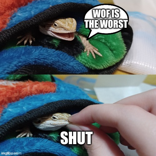 sqwerty | WOF IS THE WORST; SHUT | image tagged in hawthorn's mouth being shut | made w/ Imgflip meme maker