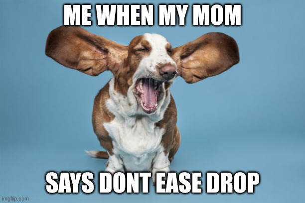 ME WHEN MY MOM; SAYS DONT EASE DROP | image tagged in funny dogs | made w/ Imgflip meme maker