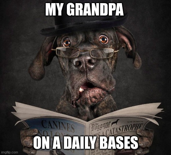 MY GRANDPA; ON A DAILY BASES | image tagged in funny dog memes | made w/ Imgflip meme maker