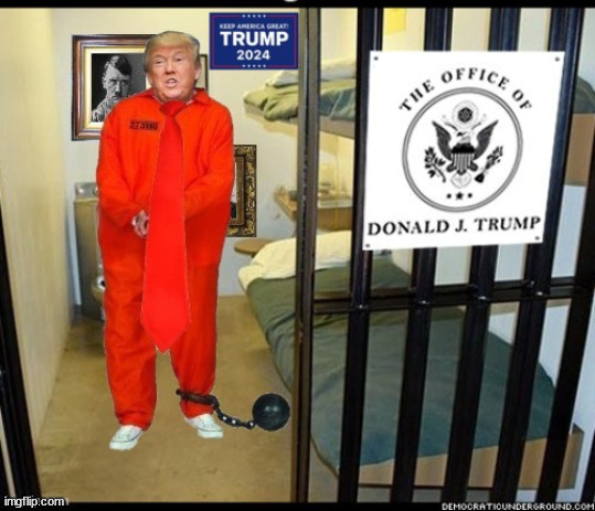 Vote for a Trump pardon | image tagged in donald trump,trump in jail,trump 2024,pardon trump,maga,trump's office | made w/ Imgflip meme maker
