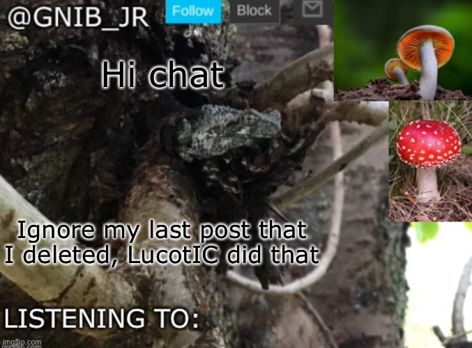 Gnib_Jr's new temp | Hi chat; Ignore my last post that I deleted, LucotIC did that | image tagged in gnib_jr's new temp | made w/ Imgflip meme maker