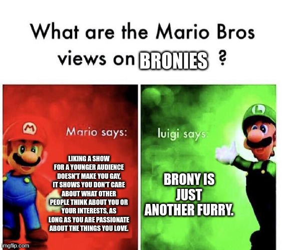 This is meant to be a joke. Please don't be offended. | BRONIES; LIKING A SHOW FOR A YOUNGER AUDIENCE DOESN'T MAKE YOU GAY, IT SHOWS YOU DON'T CARE ABOUT WHAT OTHER PEOPLE THINK ABOUT YOU OR YOUR INTERESTS, AS LONG AS YOU ARE PASSIONATE ABOUT THE THINGS YOU LOVE. BRONY IS JUST ANOTHER FURRY. | image tagged in mario bros views | made w/ Imgflip meme maker