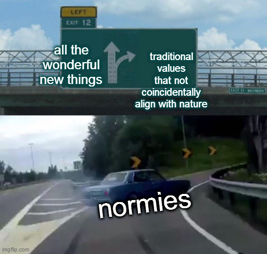 Left Exit 12 Off Ramp Meme | all the wonderful new things; traditional values that not coincidentally align with nature; normies | image tagged in memes,left exit 12 off ramp | made w/ Imgflip meme maker