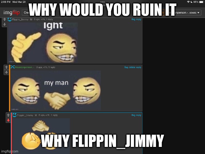 WHY WOULD YOU RUIN IT; WHY FLIPPIN_JIMMY | made w/ Imgflip meme maker