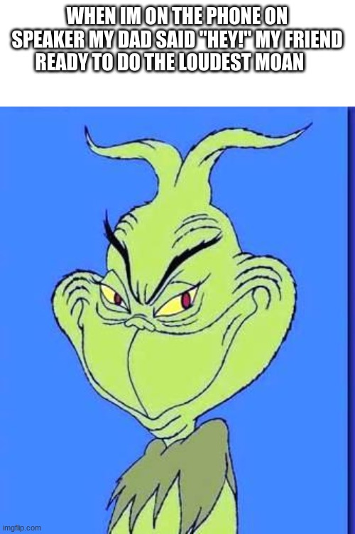 Good Grinch | WHEN IM ON THE PHONE ON SPEAKER MY DAD SAID "HEY!" MY FRIEND READY TO DO THE LOUDEST MOAN | image tagged in good grinch | made w/ Imgflip meme maker