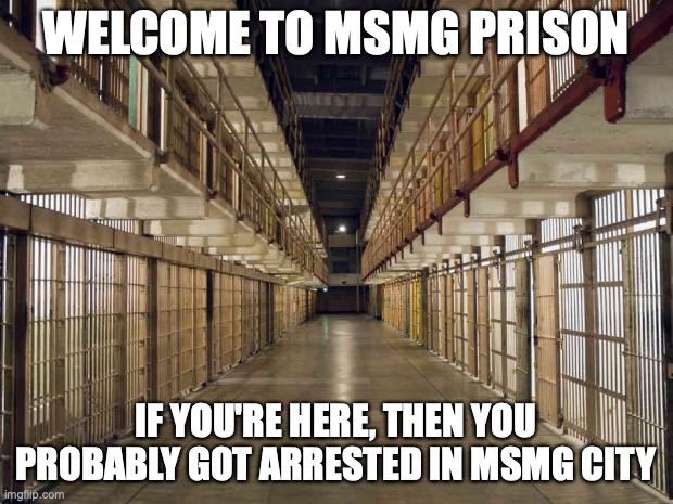 either that, or you want to work as a guard | WELCOME TO MSMG PRISON; IF YOU'RE HERE, THEN YOU PROBABLY GOT ARRESTED IN MSMG CITY | image tagged in prison | made w/ Imgflip meme maker