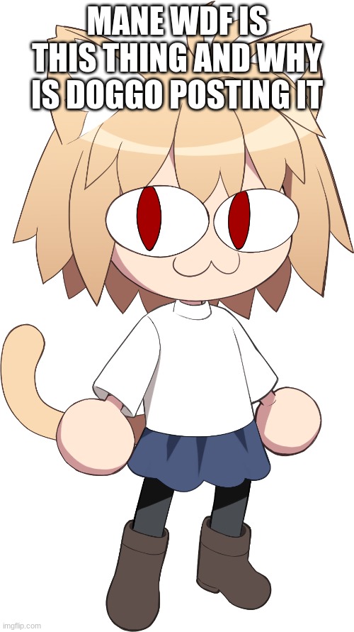 neco arc | MANE WDF IS THIS THING AND WHY IS DOGGO POSTING IT | image tagged in neco arc | made w/ Imgflip meme maker