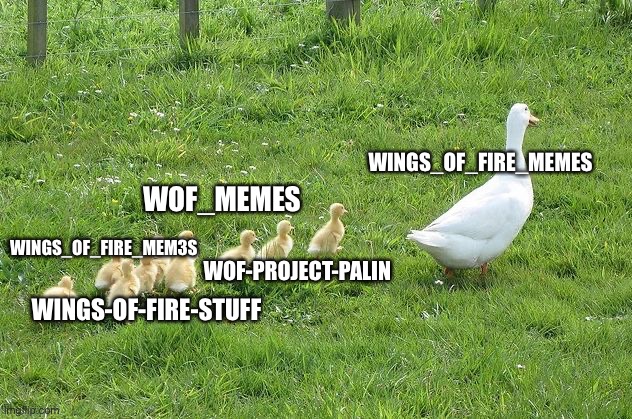 Ducklings | WINGS_OF_FIRE_MEMES; WOF_MEMES; WINGS_OF_FIRE_MEM3S; WOF-PROJECT-PALIN; WINGS-OF-FIRE-STUFF | image tagged in ducklings,wof | made w/ Imgflip meme maker