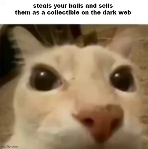 . | steals your balls and sells them as a collectible on the dark web | image tagged in x your balls | made w/ Imgflip meme maker