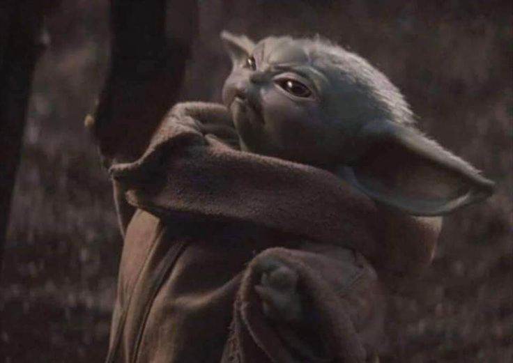 Baby Yoda WTF Blank Meme Template