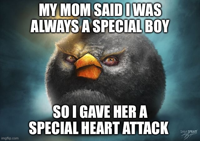 Lol | MY MOM SAID I WAS ALWAYS A SPECIAL BOY; SO I GAVE HER A SPECIAL HEART ATTACK | image tagged in angry birds bomb | made w/ Imgflip meme maker
