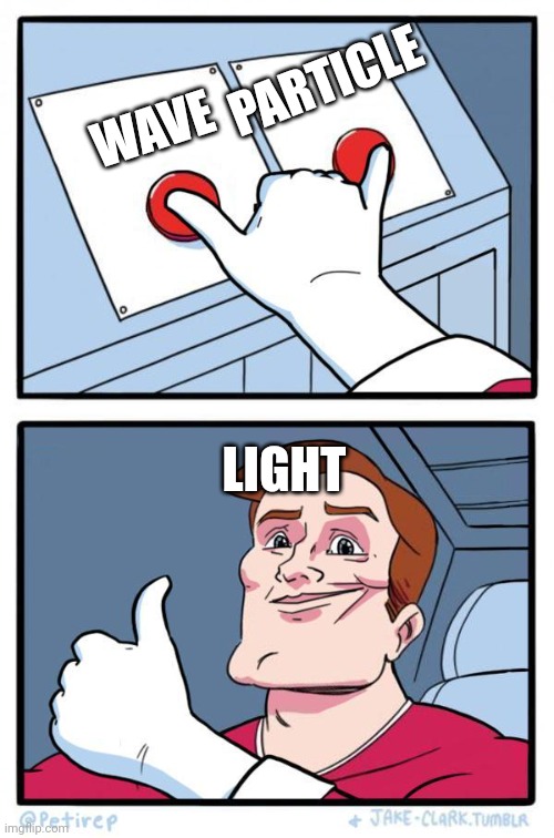 The Daily Struggle Both options at once | PARTICLE; WAVE; LIGHT | image tagged in the daily struggle both options at once | made w/ Imgflip meme maker