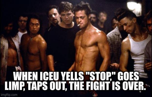 The rules | WHEN ICEU YELLS "STOP," GOES LIMP, TAPS OUT, THE FIGHT IS OVER. | image tagged in fight club template,iceu | made w/ Imgflip meme maker