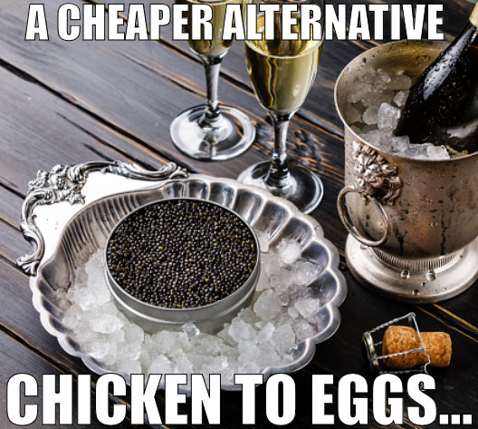 A NEW CONCEPT | A CHEAPER ALTERNATIVE; CHICKEN TO EGGS... | image tagged in a cheaper alternative to | made w/ Imgflip meme maker