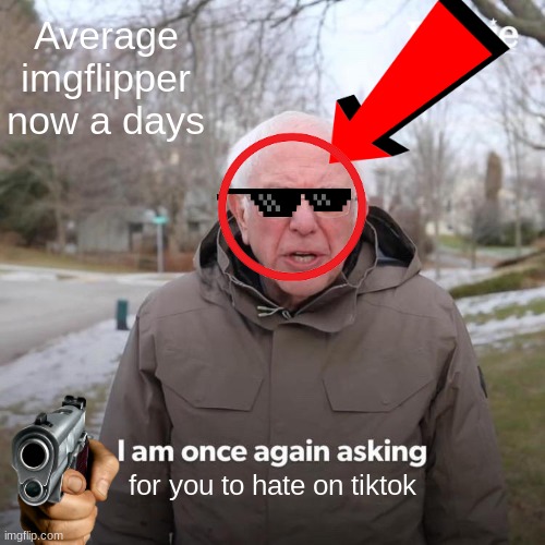 Is this what we now are? | Average imgflipper now a days; for you to hate on tiktok | image tagged in memes,bernie i am once again asking for your support | made w/ Imgflip meme maker