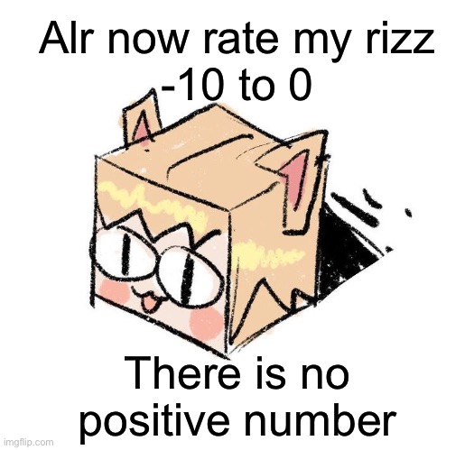 Neco arc box | Alr now rate my rizz
-10 to 0; There is no positive number | image tagged in neco arc box | made w/ Imgflip meme maker