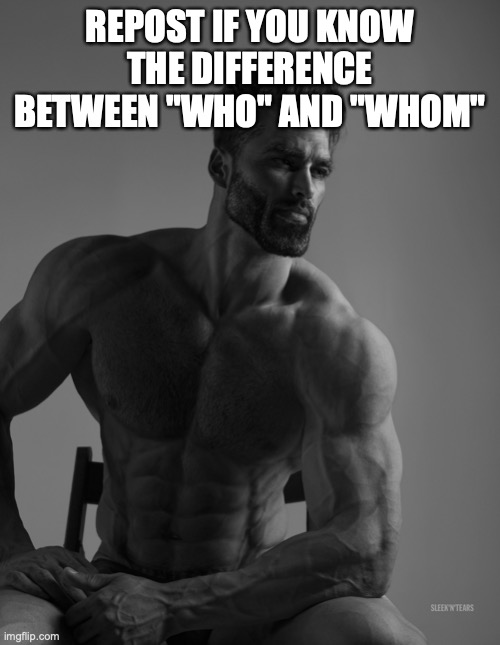 Giga Chad | REPOST IF YOU KNOW THE DIFFERENCE BETWEEN "WHO" AND "WHOM" | image tagged in giga chad | made w/ Imgflip meme maker