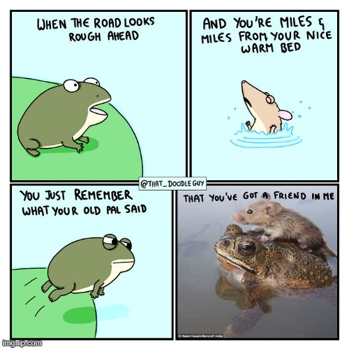 image tagged in frog,mouse,water,friend | made w/ Imgflip meme maker