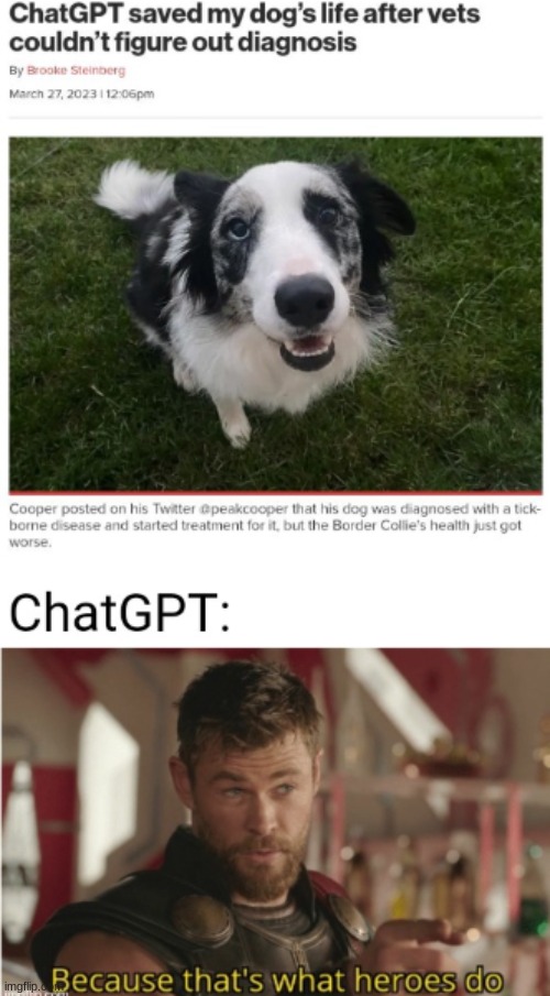 image tagged in funny,memes | made w/ Imgflip meme maker