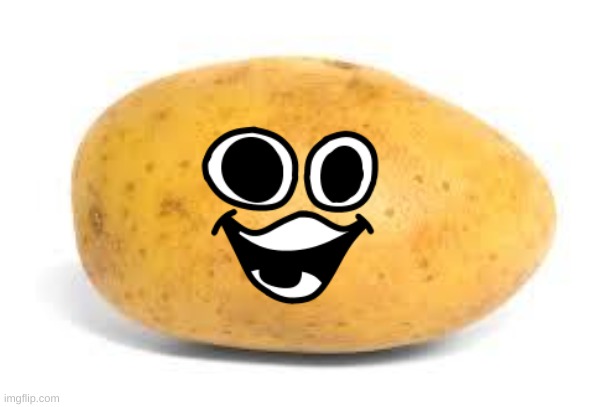 Potato | image tagged in potato | made w/ Imgflip meme maker