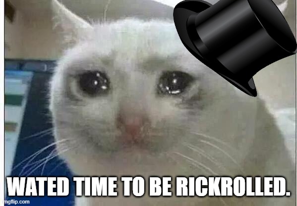 crying cat | WATED TIME TO BE RICKROLLED. | image tagged in crying cat | made w/ Imgflip meme maker