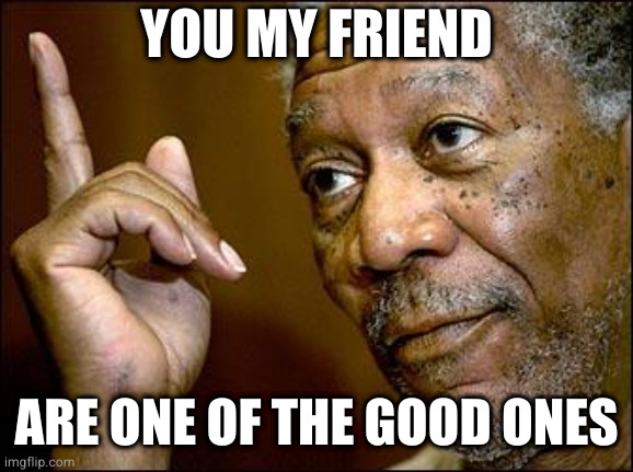 This Morgan Freeman | YOU MY FRIEND ARE ONE OF THE GOOD ONES | image tagged in this morgan freeman | made w/ Imgflip meme maker