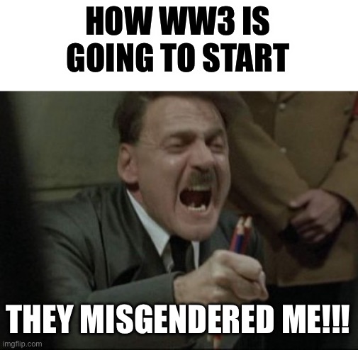 World Gender War | HOW WW3 IS GOING TO START; THEY MISGENDERED ME!!! | image tagged in hitler downfall | made w/ Imgflip meme maker