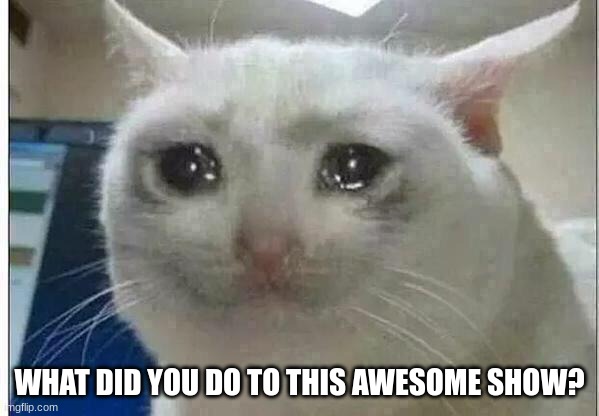 crying cat | WHAT DID YOU DO TO THIS AWESOME SHOW? | image tagged in crying cat | made w/ Imgflip meme maker