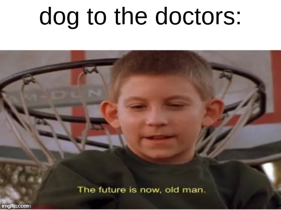 The future is now, old man | dog to the doctors: | image tagged in the future is now old man | made w/ Imgflip meme maker