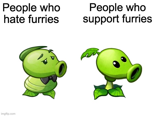 You Cannot Change My Mind | People who hate furries; People who support furries | image tagged in blank white template,funny,true story,relatable memes,anti furry | made w/ Imgflip meme maker