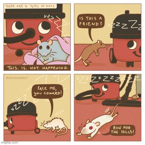 Rat vs the vacuum cleaner | image tagged in rats,rat,vacuum,vacuum cleaner,comics,comics/cartoons | made w/ Imgflip meme maker