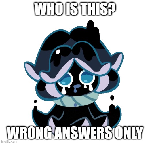 Squid Ink Cookie | WHO IS THIS? WRONG ANSWERS ONLY | image tagged in squid ink cookie | made w/ Imgflip meme maker