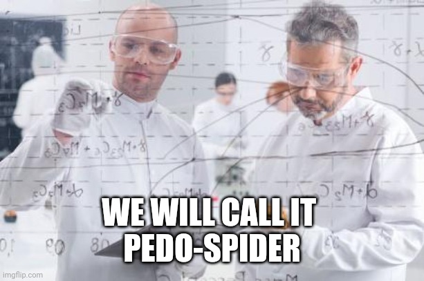 british scientists | WE WILL CALL IT 
PEDO-SPIDER | image tagged in british scientists | made w/ Imgflip meme maker