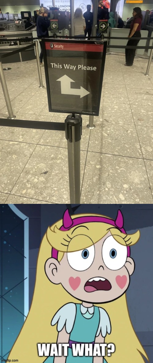 Put the sign up, boss. | image tagged in star butterfly wait what,you had one job,star vs the forces of evil,memes | made w/ Imgflip meme maker