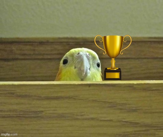 The Birb | image tagged in the birb | made w/ Imgflip meme maker