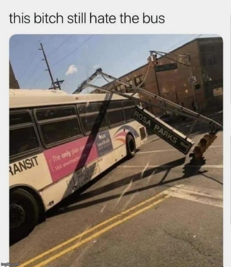 image tagged in memes | made w/ Imgflip meme maker
