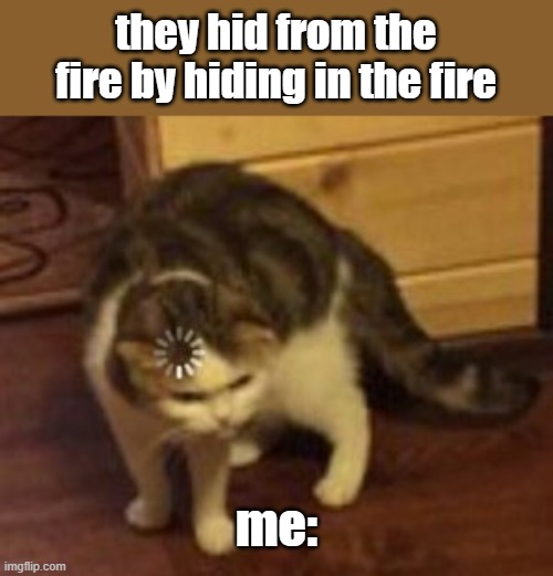 wait what? |  they hid from the fire by hiding in the fire; me: | image tagged in loading cat | made w/ Imgflip meme maker