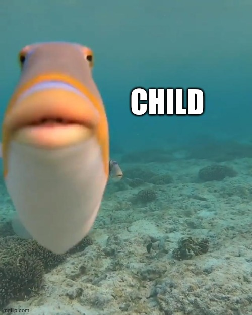 staring fish | CHILD | image tagged in staring fish | made w/ Imgflip meme maker